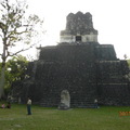 瓜地馬拉TIKAL馬雅金字塔正面，因塔高人在塔上顯得渺小‧
