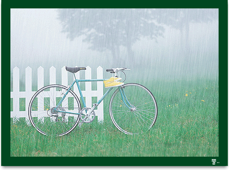 單車賞雨