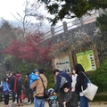 秋遊太平山（2011,10,22) - 25