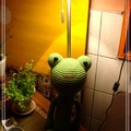 小綠蛙ㄉ剪影～1