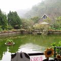 南庄山芙蓉咖啡花園