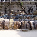 2009.10.胡里山砲台內的樹木化石