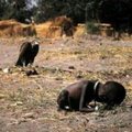 這張照片得了普立茲獎,
賴比瑞亞內戰,
小女孩將餓斃,
禿鷹等著她,
記者呢?