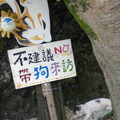 2010.08.13 猴硐貓村 - 1