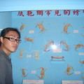 這裡是澎湖的螃蟹博物館唷！