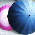 大小、顏色對比鮮明的傘
