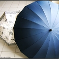 大傘直徑近2米，小傘嬌羞依人