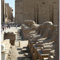 Egypt 埃及 - October 25, 2008 - 4