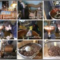 威爾貝克--3. 咖啡豆烘成流程圖