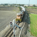 2010,12,11 12:01 FX50 年尾之時，鐵道兩旁的稻田或芋頭田都正為下一期準備。