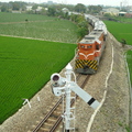 2011,04,22 12:49 FX50 到了四月份，鐵道兩旁的稻田和芋頭田已經在成長囉。