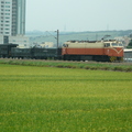 2011,06,24 11:57 FX50 海線192.5km，與爸爸的稻田合照(中間有一小排較綠的稻田是別人的)。