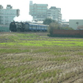 2011.12.29 12:13 FX50 拍攝於海線192.5km，來了來了，DT668與我家稻田合照，剛好我家稻田的油菜花成長中。