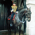 London: Horse Guard1