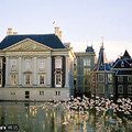 The Hague: Mauritshuis