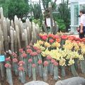 重慶南山植物園