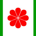 台灣國使用的國旗