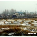 黑龍江牡哈高速雪景 - 2