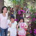 台南公園花季