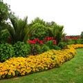 Botanic Garden2
