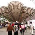 2011-3-6台灣國際蘭展 - 7