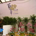 2011-3-6台灣國際蘭展 - 8