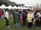 榮星社區發展協會健走隊參加光泉2009健走