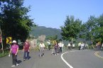 行程：社區活動中心 (晨六時整準時出發，逾時不候)─北二高─大溪─北橫公路─羅浮─小烏來天空步道─風動石一小烏來森林步道─小烏來龍鳳瀑布─角板山公園─可愛溫暖的家。

