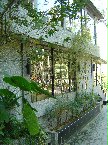 大板根森林溫泉渡假村在台北縣三峽鎮插角里80號，有興趣的朋友們不妨去走走，享受一下美人湯的滋味。