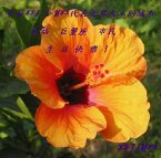 市長 祝賀所有每個月市民壽星的生日賀卡總集