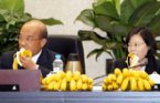 Source:http://udn.com/NEWS/MEDIA/3565034-1486805.jpg
行政院昨天上午舉行例行性院會，蘇揆要閣員現場就吃香蕉，賣力促銷滯銷的香蕉。
記者陳柏亨／攝影（聯合報20061019）
