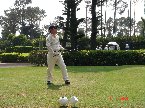 大鵬哇勒怎沒看見我的球勒