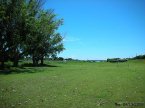 台東縣東海運動公園，原為東海國中校地，一旁緊貼著菩提樹的是緩緩流向太平洋的太平溪。