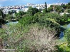 台東大學教學大樓5樓陽台眺望，可看到鯉魚山旁的鯉魚池與街景，鯉魚池旁為扶輪社與電台，更有許多具有教育教育文藝氣息的雕像。這裡曾是台東縣小朋友們參加全國性繪畫比賽的最佳景點，目前已歸還市公所管理。