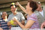  國民黨2008參選人馬英九8月23日在斗六柚農果園摘採文旦，剝柚後憶及童時戴起柚帽，卻又打趣說，顏色似乎不太對，隨即將柚帽拿下。（台灣“中央社”圖） 
