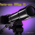 Photo-eye 600mm ED打鳥大砲 二代鏡