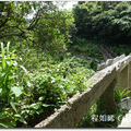 金瓜石 水圳橋 - 15