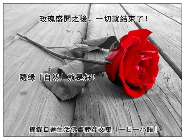 蓮生活佛盧勝彥