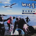 海女就是靠海維生的女人，目前僅日本及韓國有海女，韓國海女以濟州島最著名，一般見到的海女通常是六、七十歲的大嬸。(本圖片為筆者所拍攝)