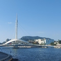 高雄大港橋是亞洲最長跨港旋轉橋，可在3分鐘內完成水平運轉開合秀，形塑高雄港水岸觀光廊道。