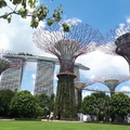 2019 新加坡濱海灣金沙空中花園