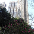 2014 香港街景