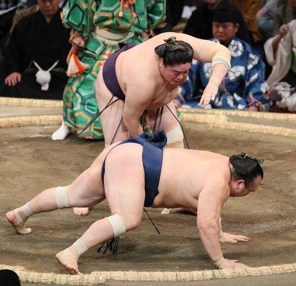 2023年11月 日本大相撲九場所 第一週戰況 / 一山本 