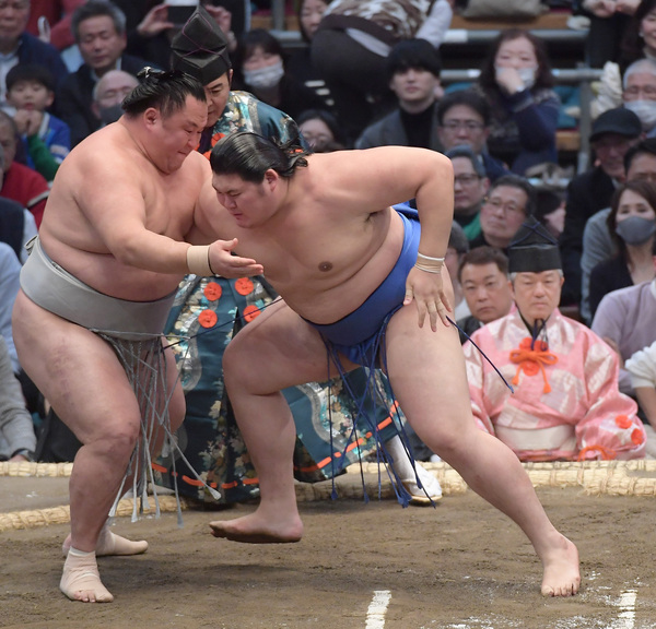 2024年3月 日本大相撲春場所 第一週戰況 / 尊富士 全