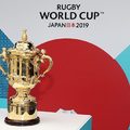 2019 Rugby World Cup 冠軍杯  .jpg