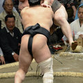 日本大相撲