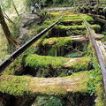 太平山見晴懷古步道