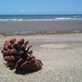 海灘(2012/07/02)上午11:17
