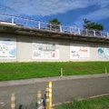 永福橋和兩邊的河濱公園 - 2