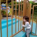 蜻蜓點水上海行 - 顧村公園